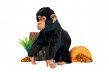 Hansa Шимпанзе 44 см