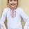 Ладан вишиванка дівчача на довгий рукав 106