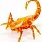 Наноробот Hexbug Scorpion, orange