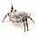 Hexbug Spider XL (Павук Гігант) мікро-робот, grey
